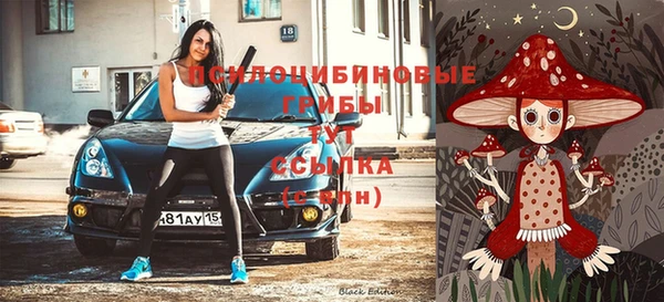 мяу мяу мука Волоколамск