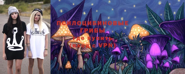 мяу мяу мука Волоколамск